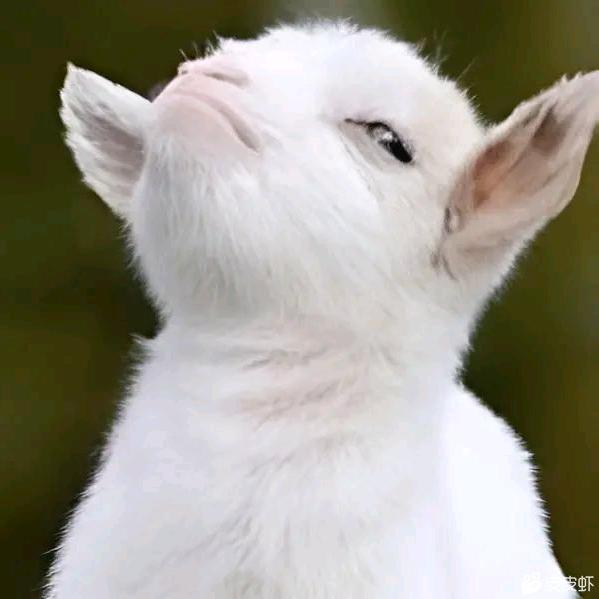 无敌暴龙战士3号