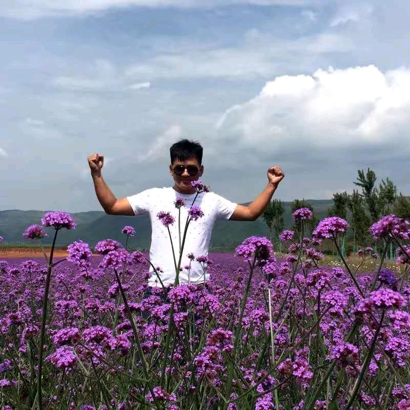 发发发………