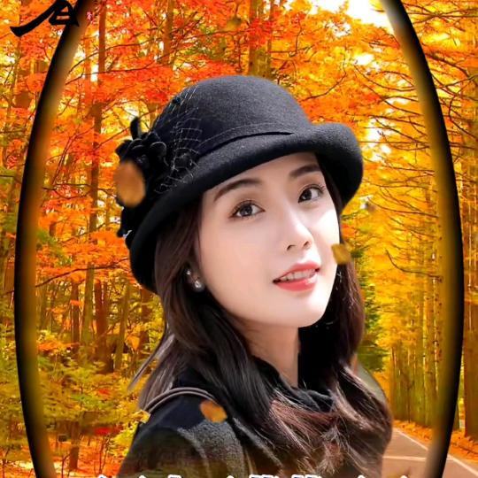 玖忆惜梦，叶萍