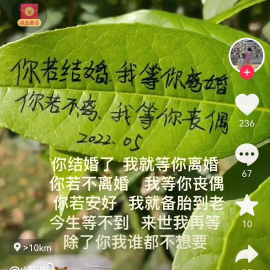 风情