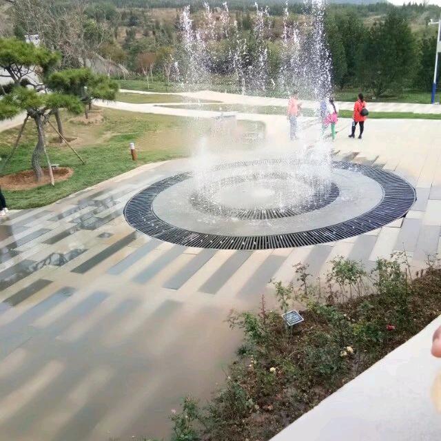 云随风行