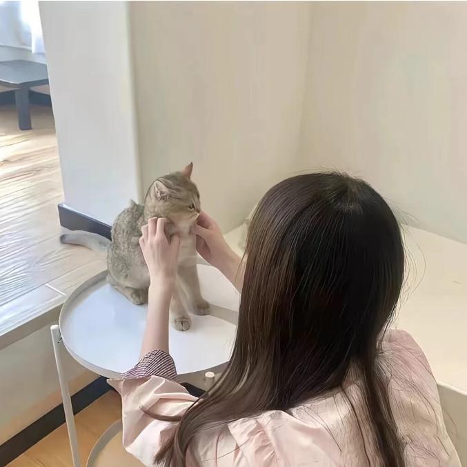 脑袋困呼呼🍓