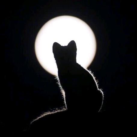 这名字我读不出来