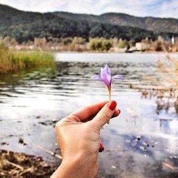 让过去成为永远的梦