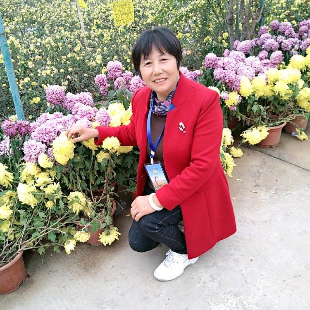 潘琴