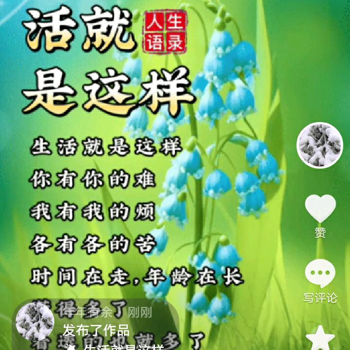 没人理解我，也不怪他