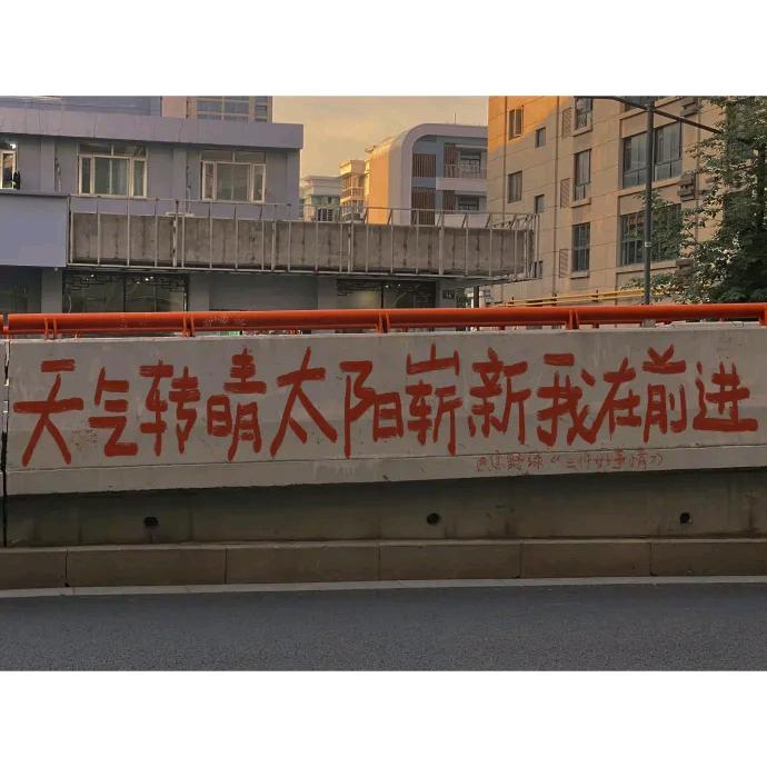 ☀️大橘为重丶