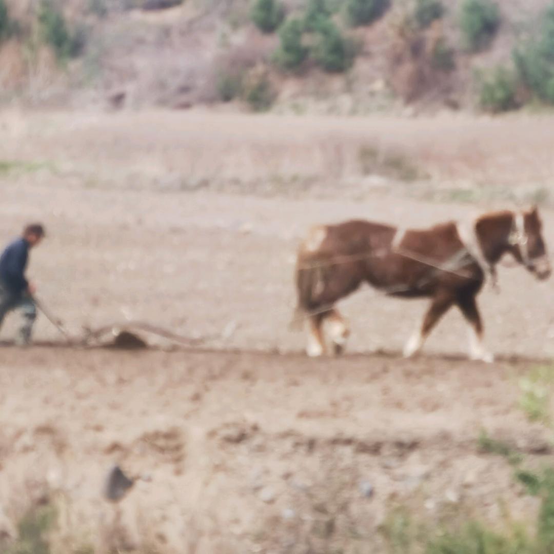 蛟河免费教吉他（成人、在线）孙彧仕