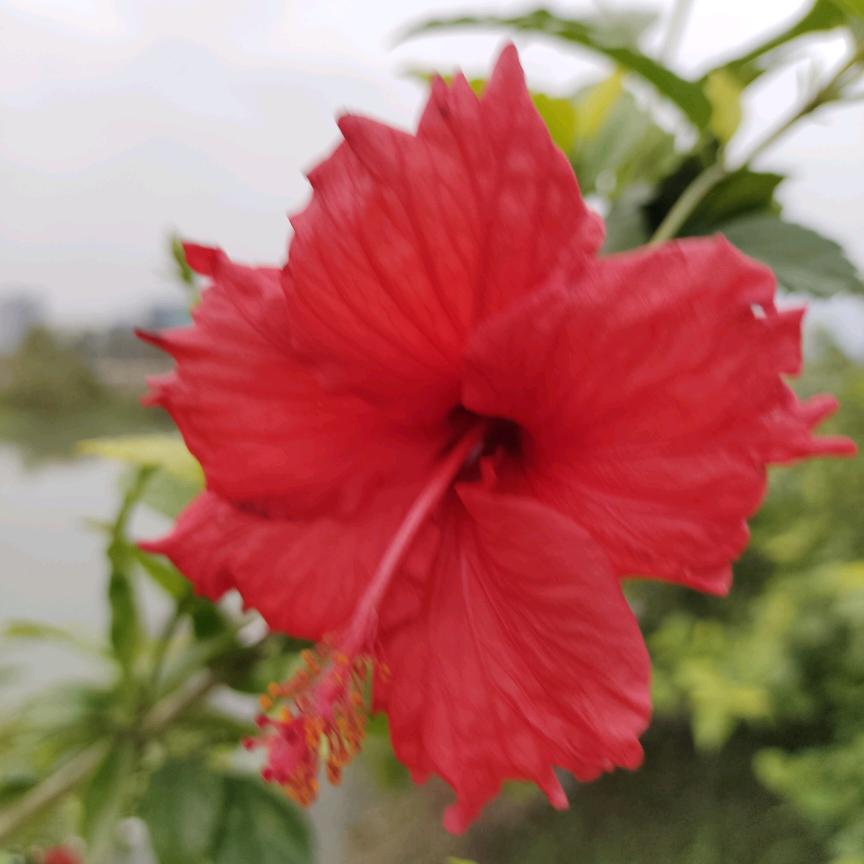 ℋღ᭄好运🍒爆澎᭄💞࿐