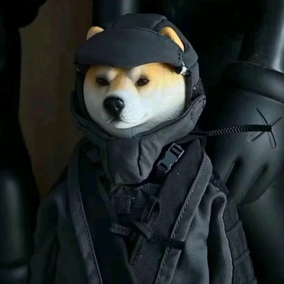 W。。。