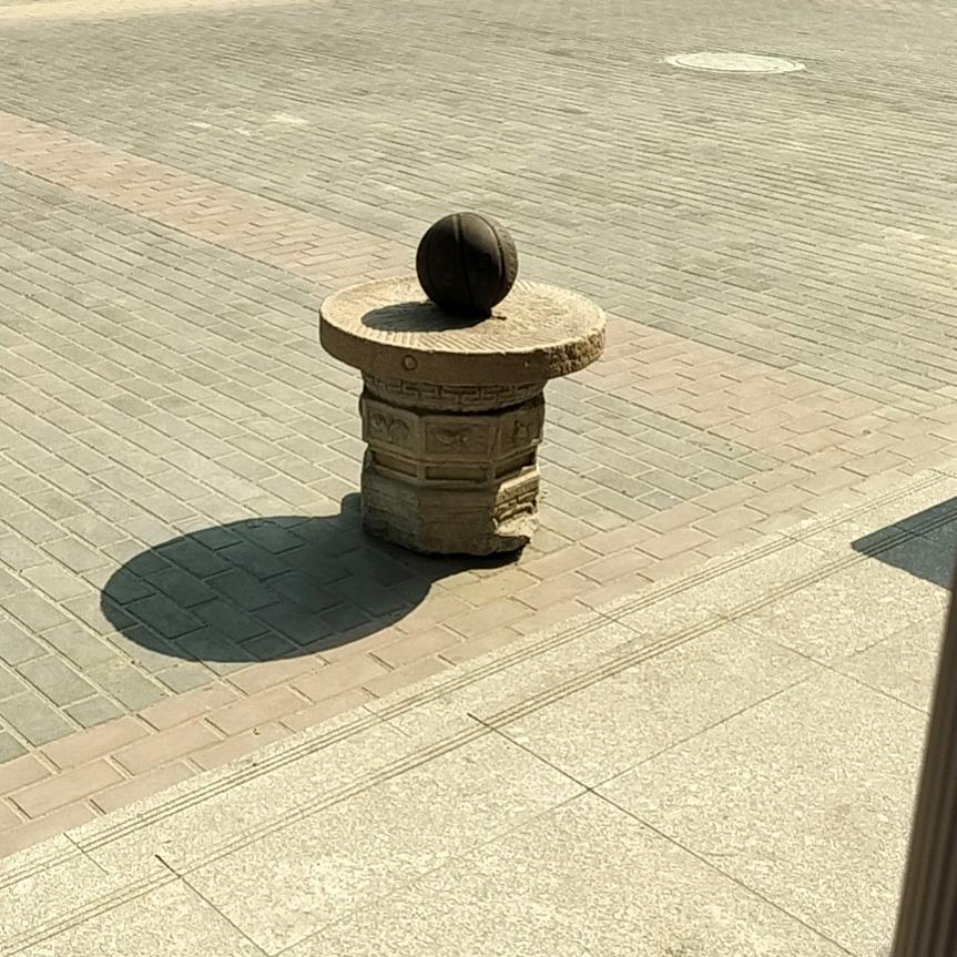 轻杨
