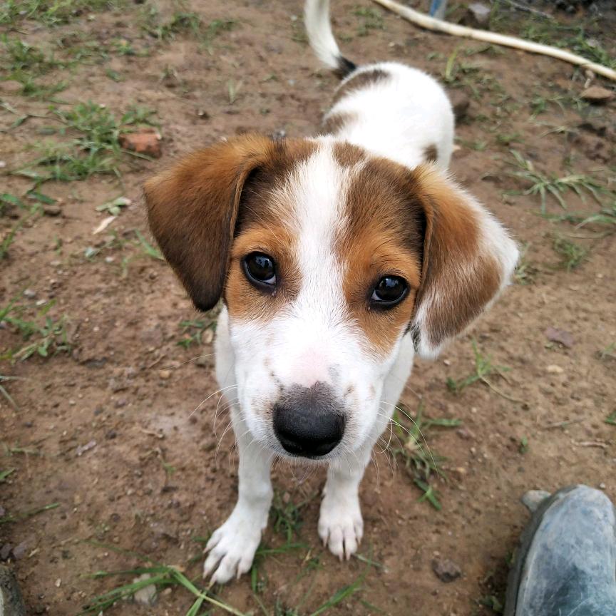 为了明天，努力搬砖