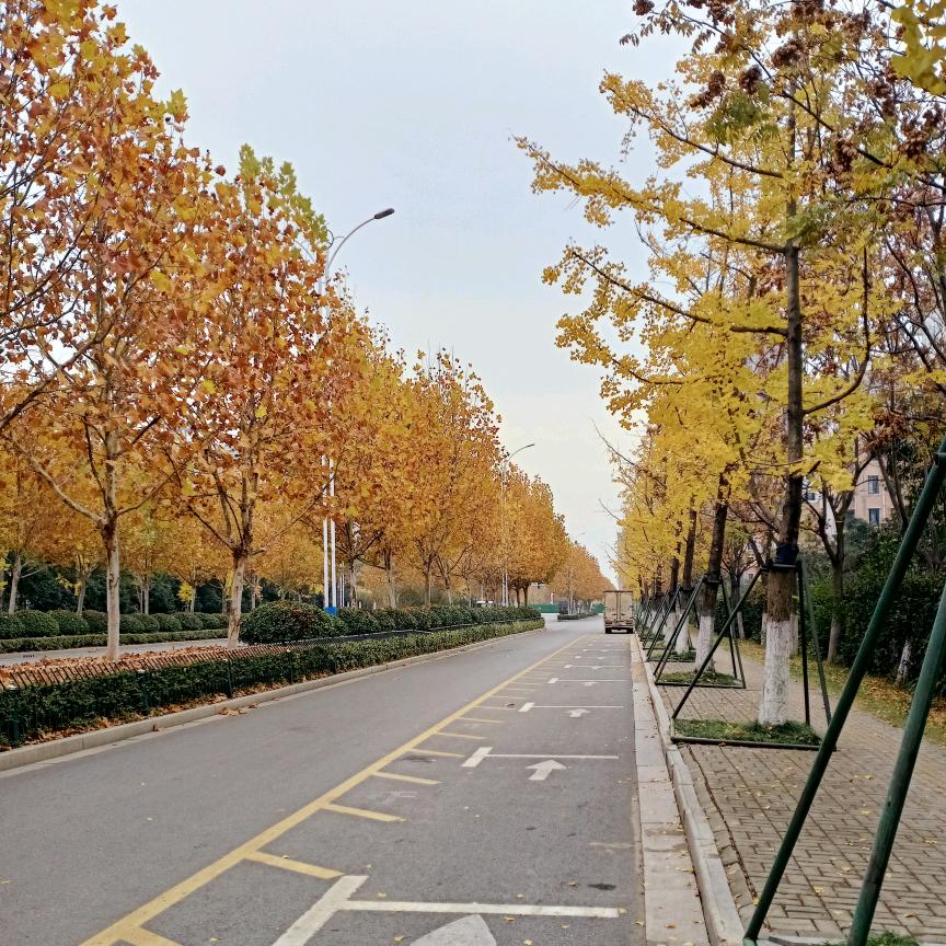 快乐学科普
