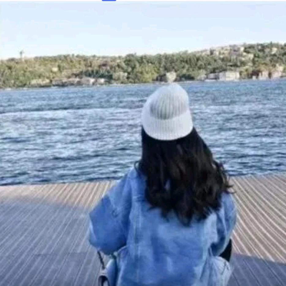 孤独的猫（甄选好物）