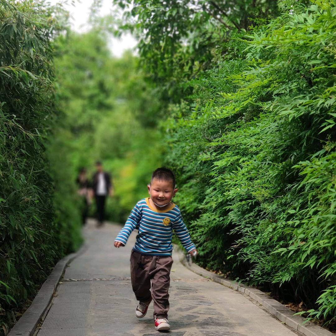 奥特曼打小怪兽