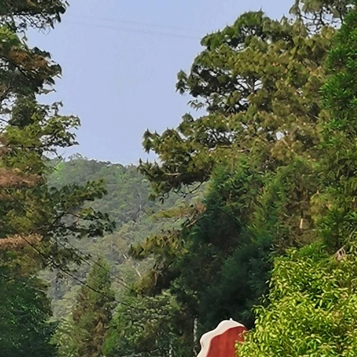 用户458593402581绿林