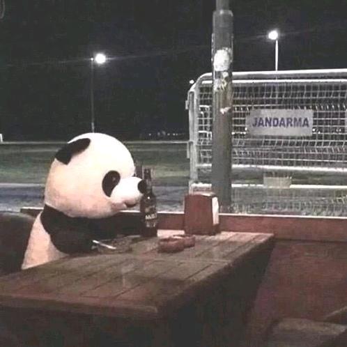 ：Y：