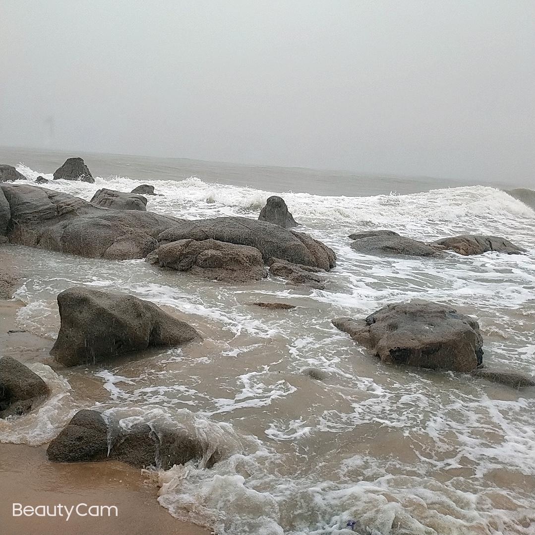 陈纯
