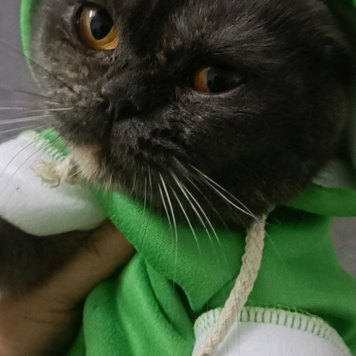 自己的梦