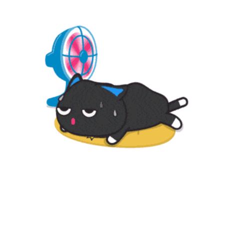 三层五花肉丶Y