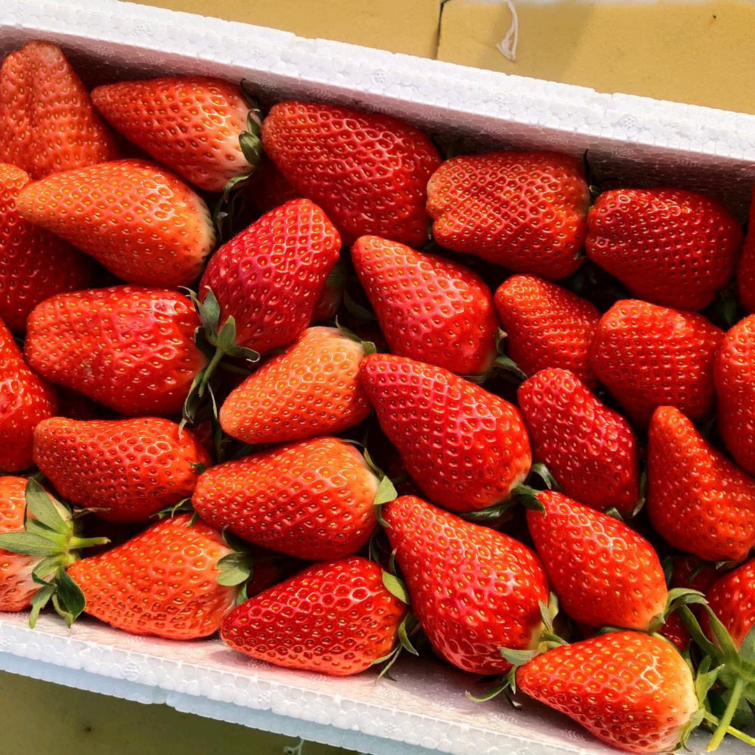 乳山草莓姐(好物在橱窗)