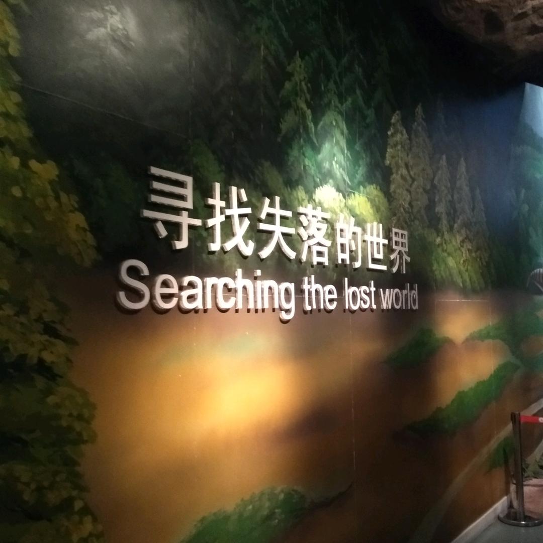 菲立翰