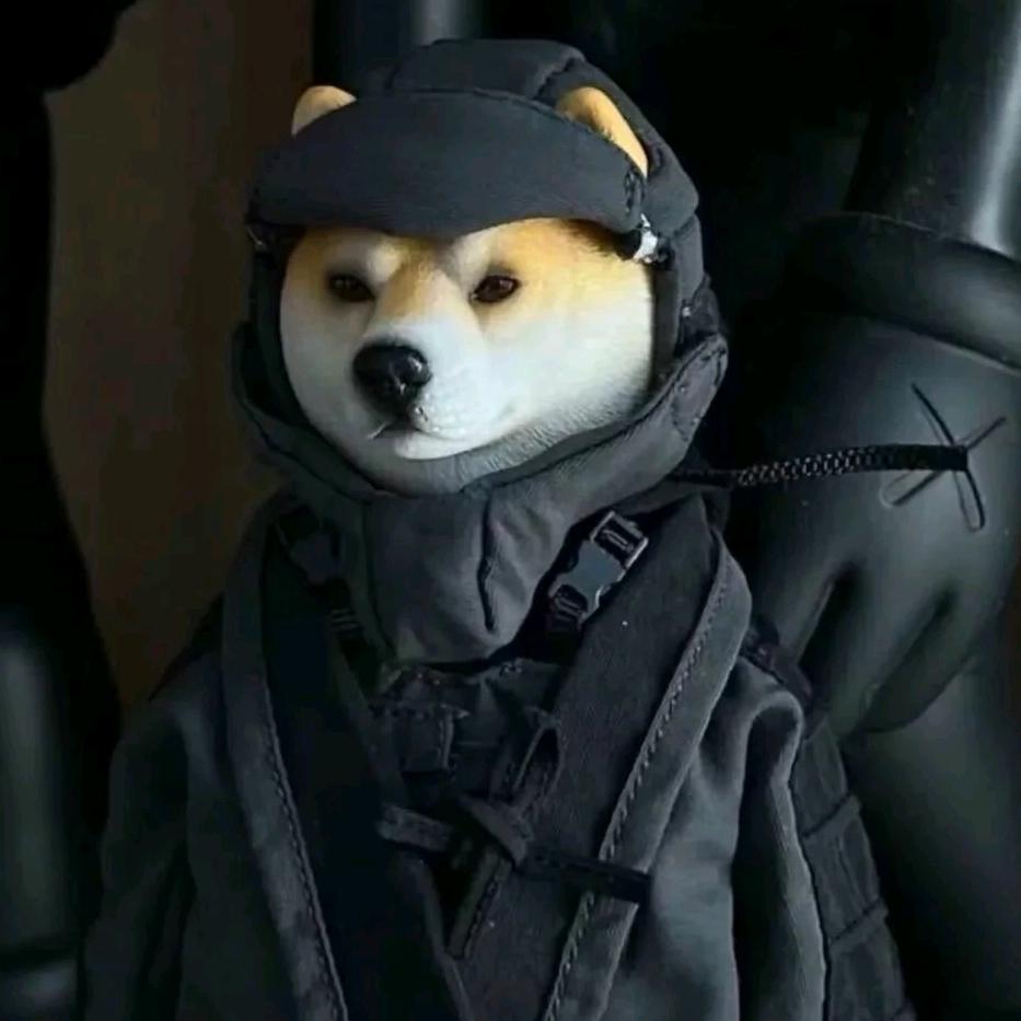 苦茶子