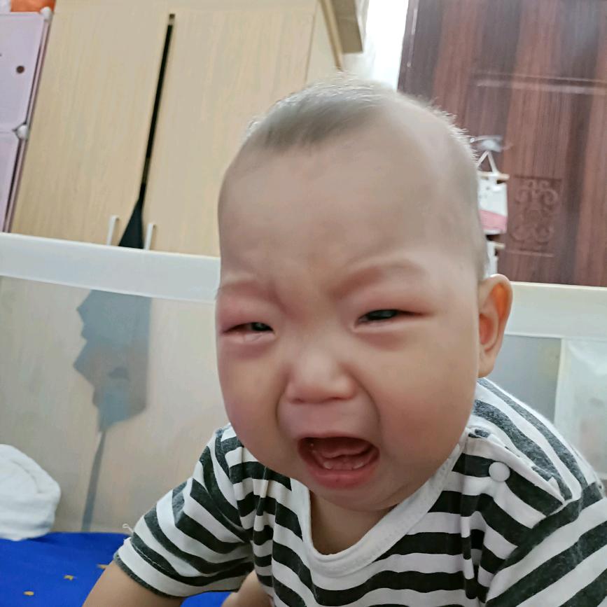橙子皮皮