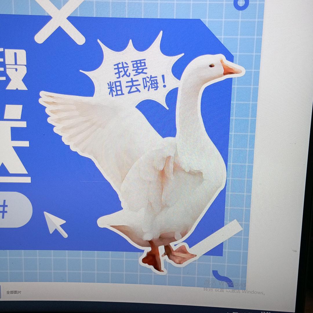 骑士农庄～乡村土鸡