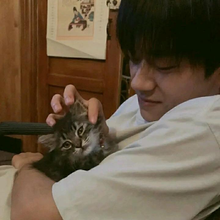 汉堡