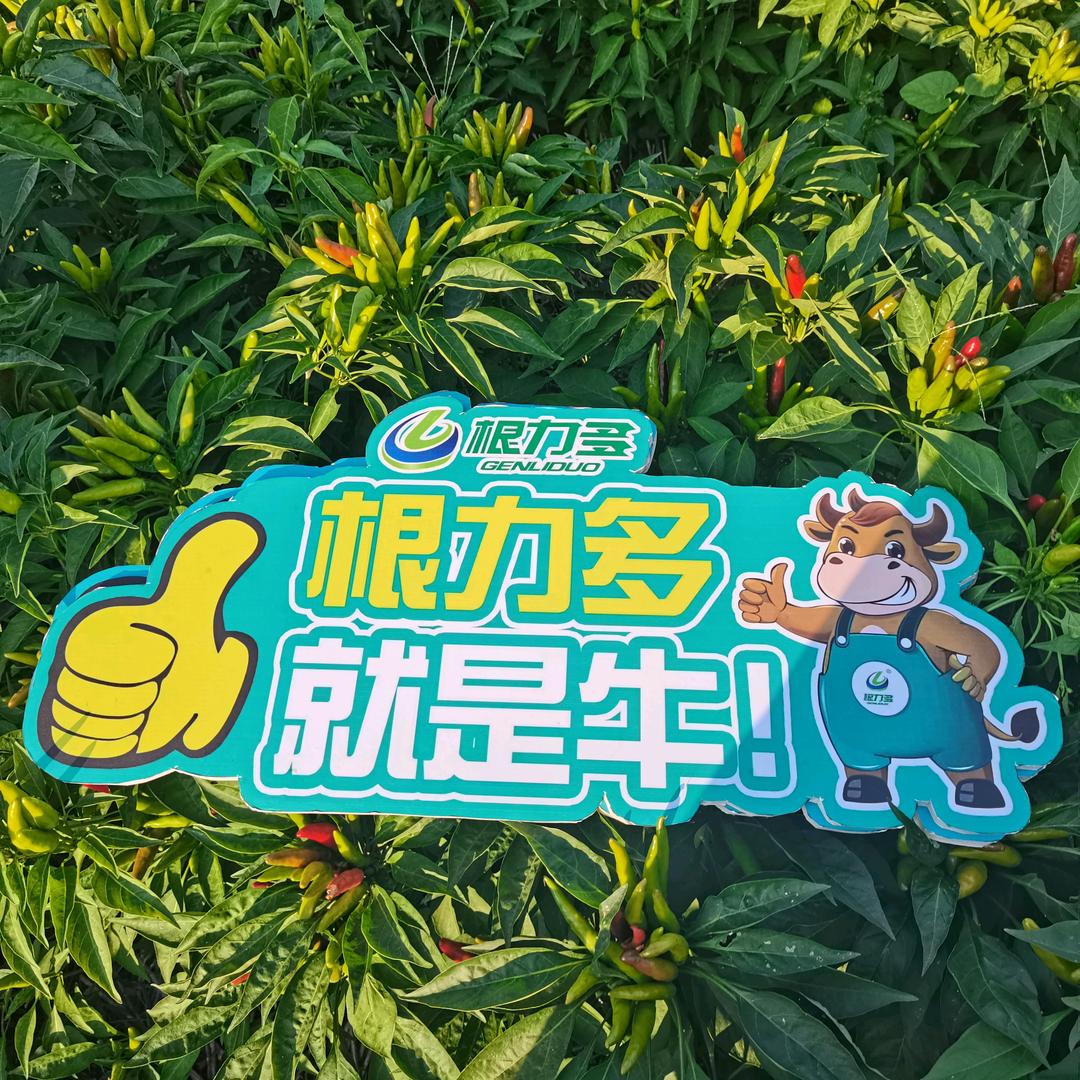 南席镇家有农资