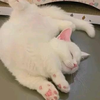 诺无相欠，怎会相见
