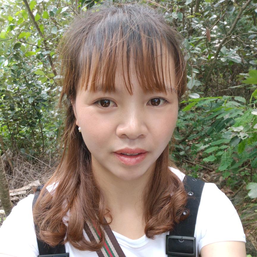 香水玫瑰