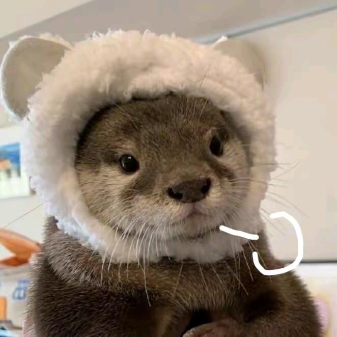 不是大佬