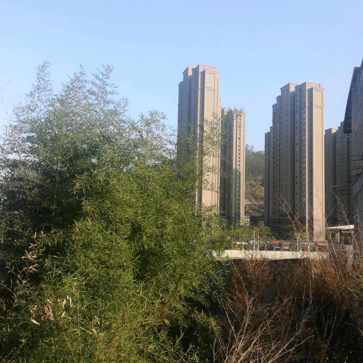 越过越好
