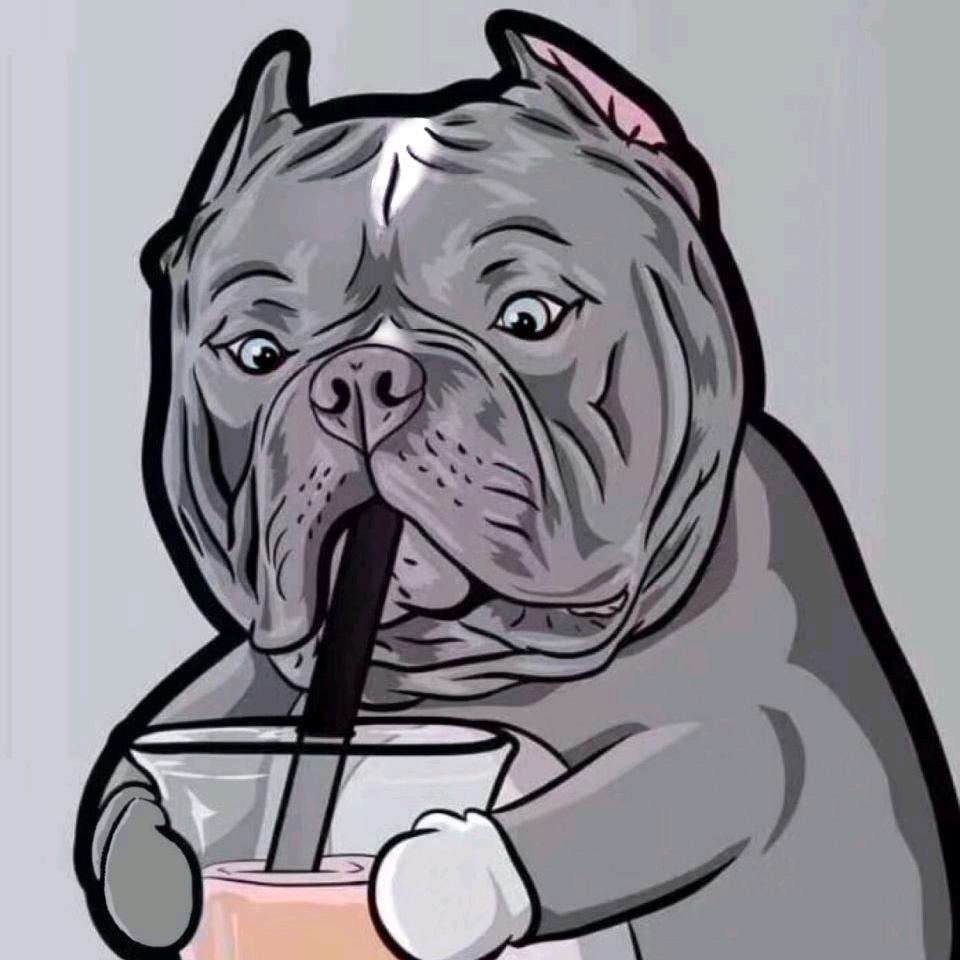 恶霸犬氮泵