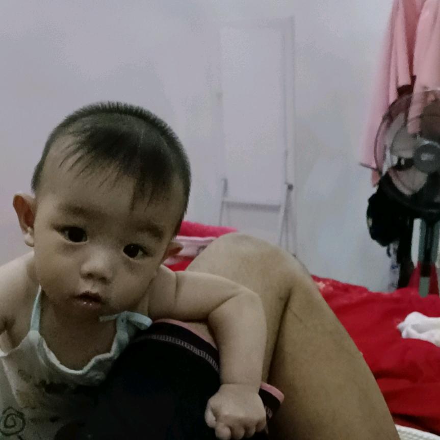 楠认