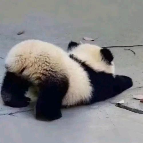 (∩ᄑ_ᄑ)⊃━☆变咕呱