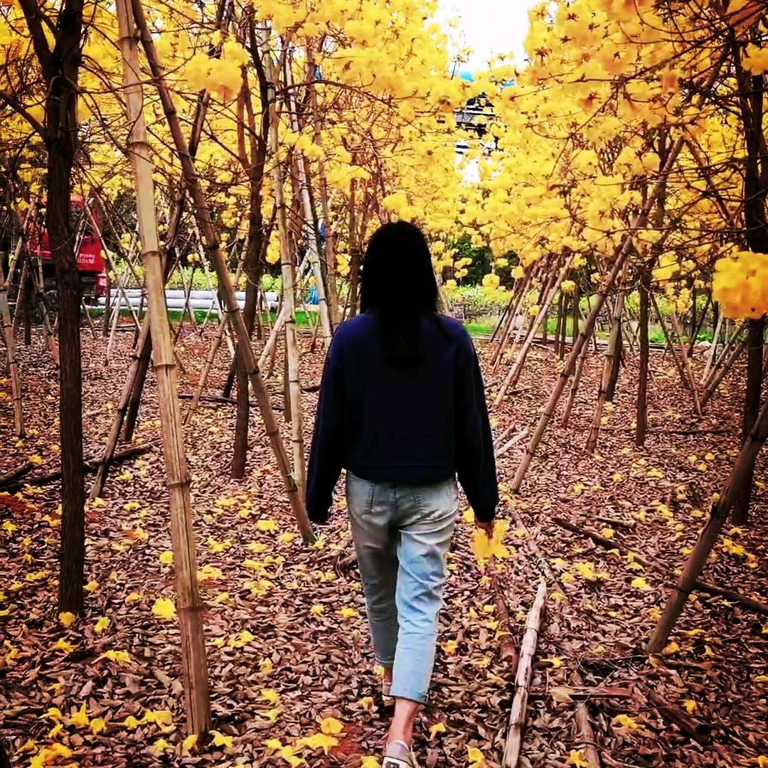 @🥀এ᭄累了ꦿ谁💔疼ོ࿐