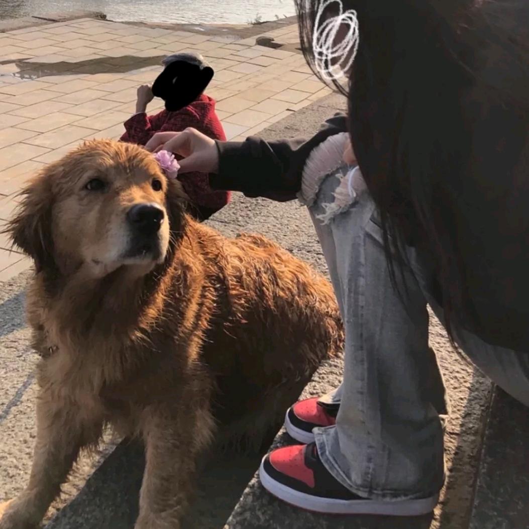 凌晨听情歌.