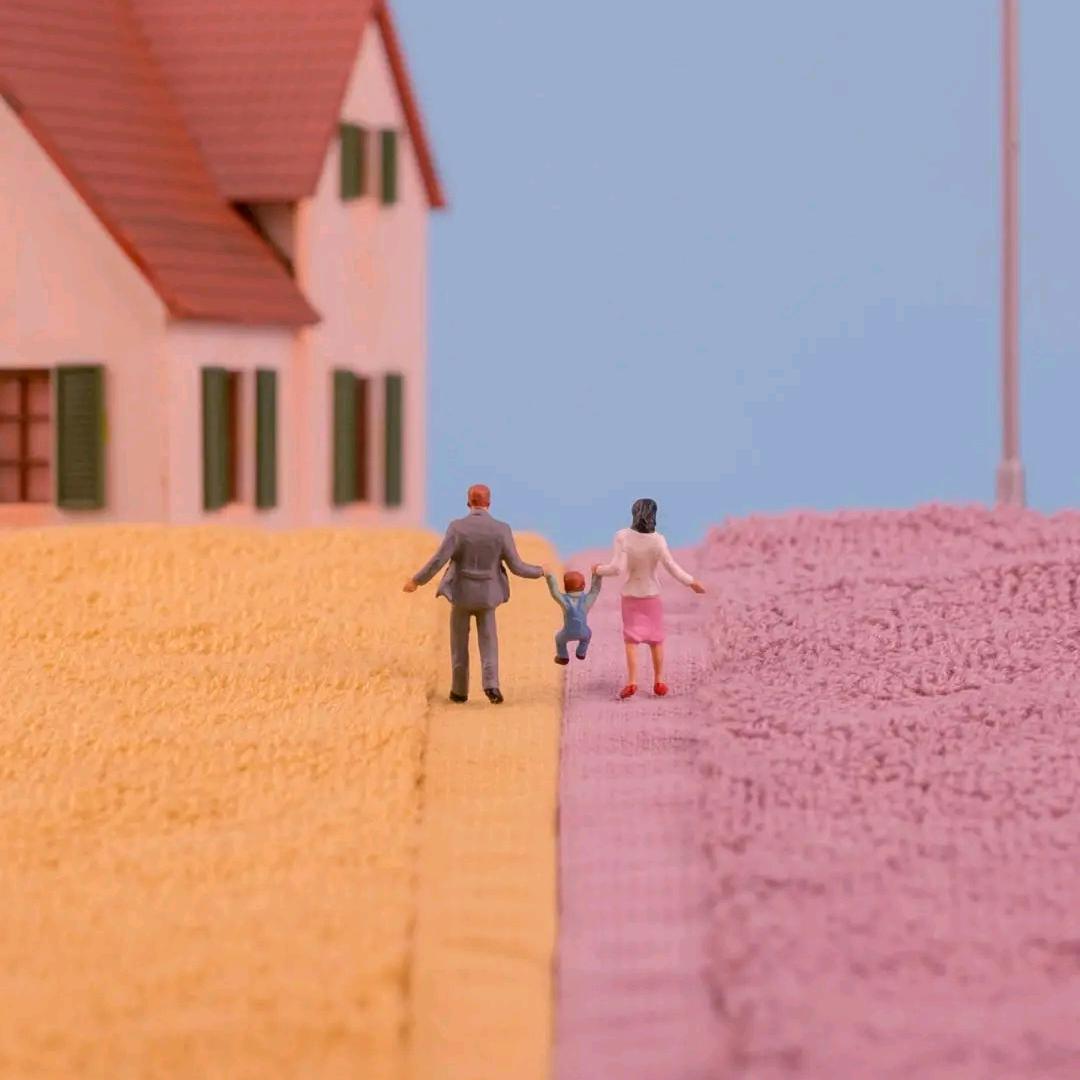 菏泽青年大平调剧团团员