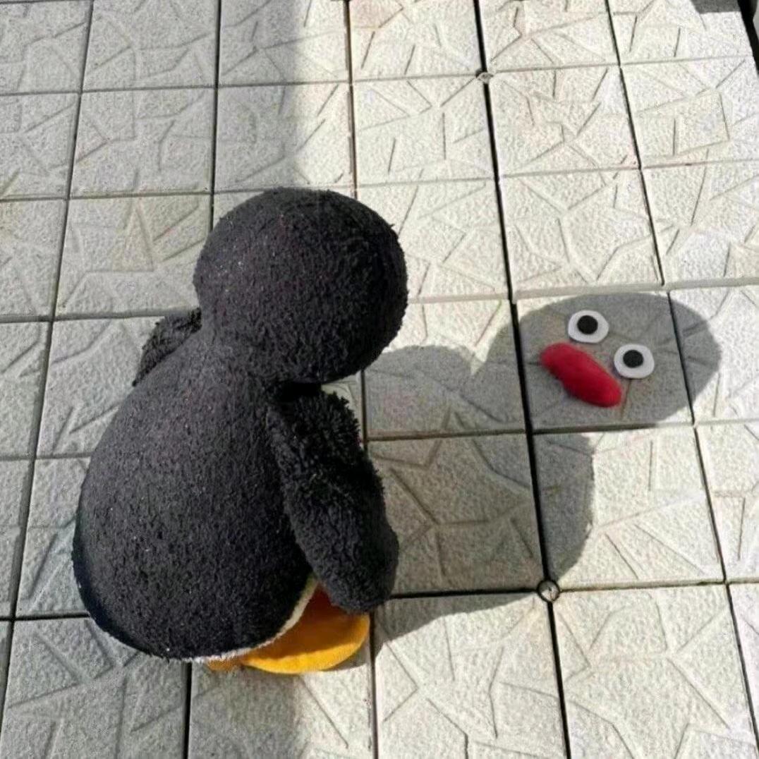 粉色大海星