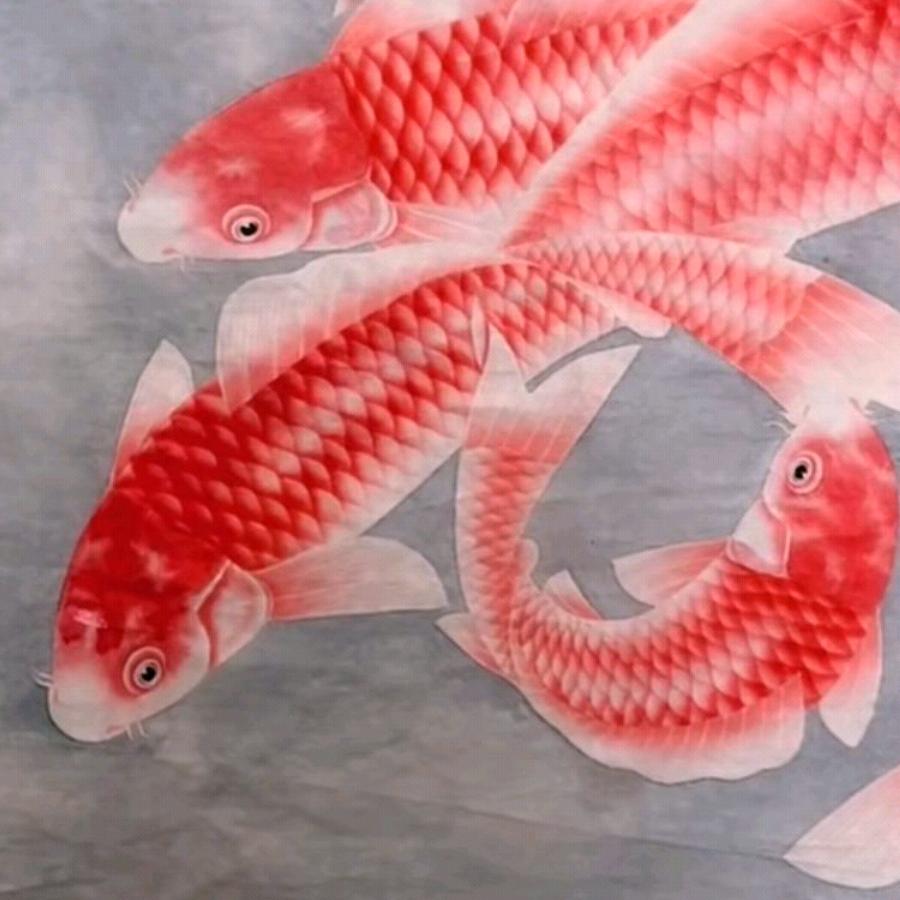 重庆秦勇