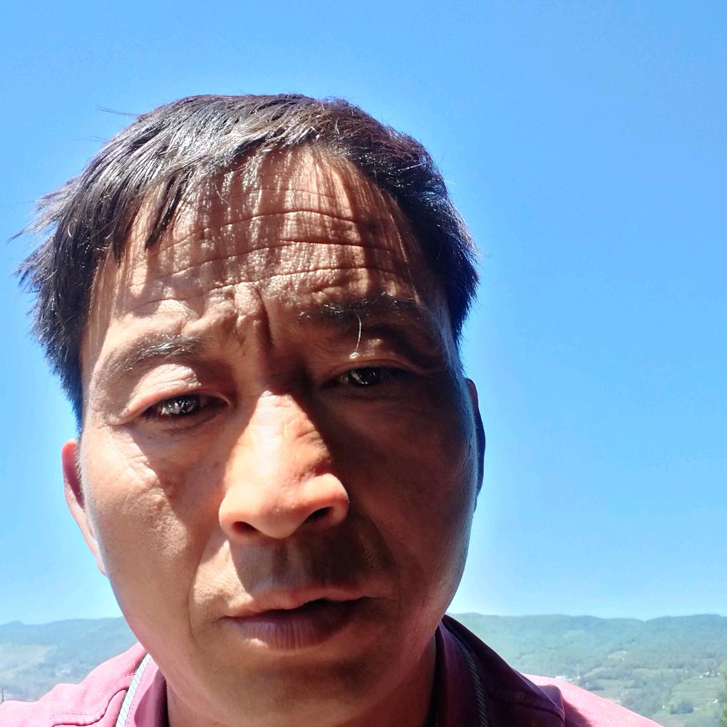 高原一点红