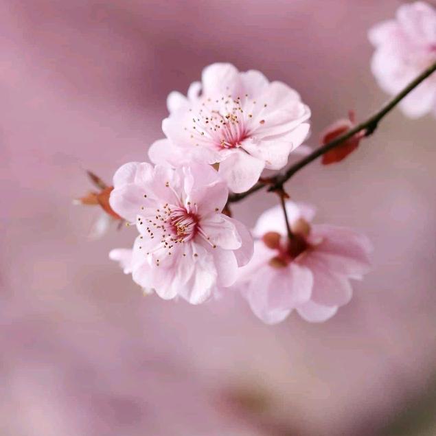 0♡(❀ฺ•㉨•❀ฺ)♡