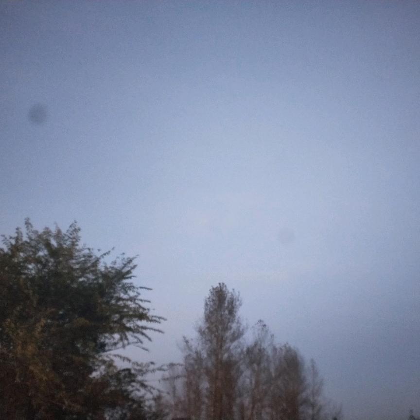 小来