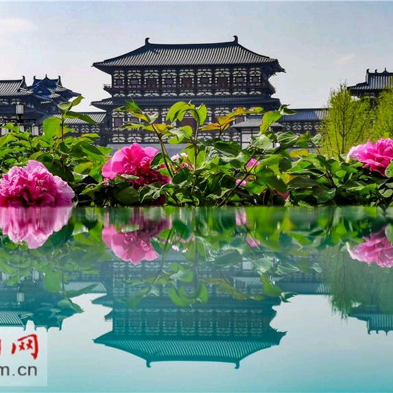 雨过天晴(好物优选)