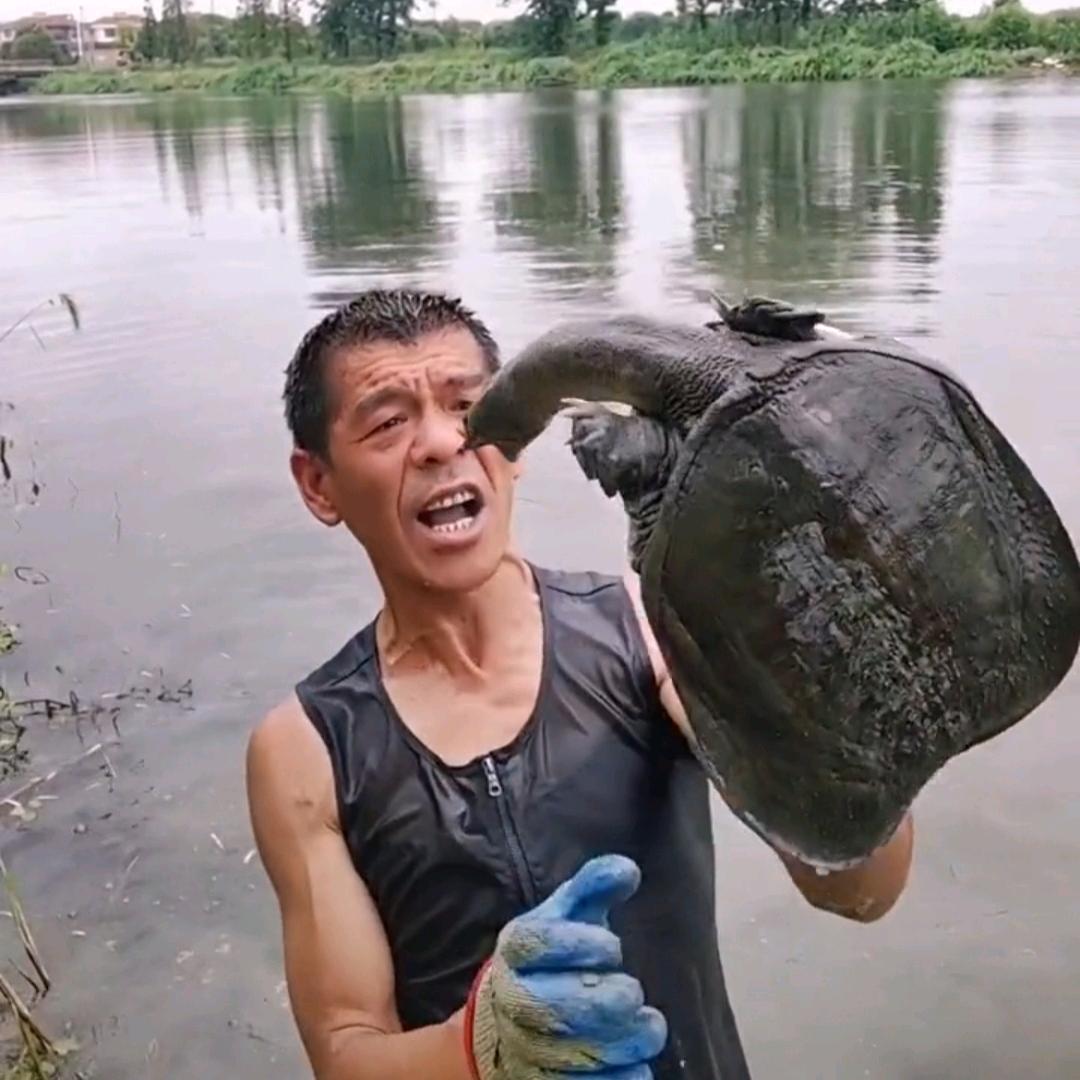 豫尹哥甲鱼鱼