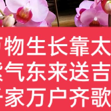 李廷银