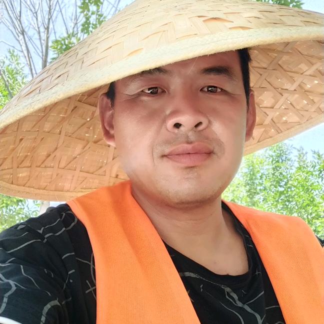 哥就是神